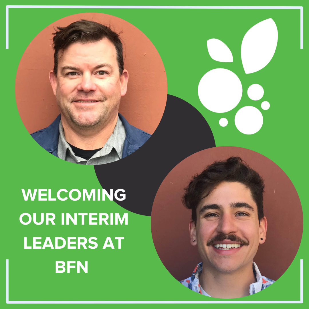 Announcing Interim Leadership at BFN